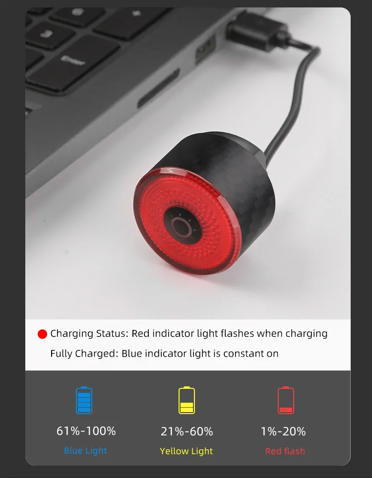 Gaciron Loop-100 Carbon